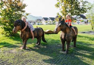 Massivholz-Schnitzerei der Firma Rudolf Spielplatz, Spielplatzbauer, Spielplatzhersteller, Spielplatzgeräte, Schweiz